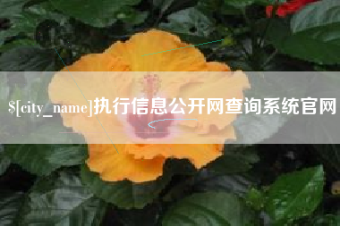 宜阳执行信息公开网查询系统官网