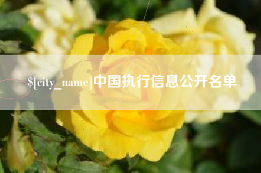 宜阳中国执行信息公开名单