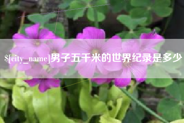 宜阳男子五千米的世界纪录是多少