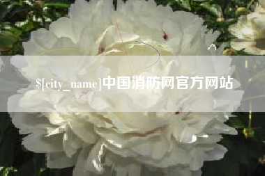 宜阳中国消防网官方网站