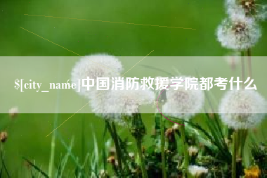 宜阳中国消防救援学院都考什么
