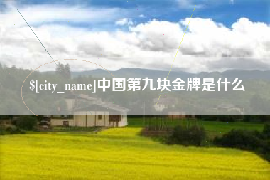 宜阳中国第九块金牌是什么