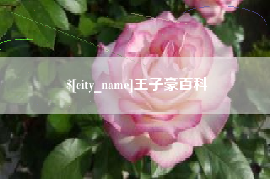 宜阳王子豪百科
