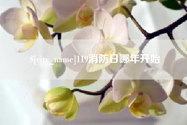 宜阳119消防日哪年开始