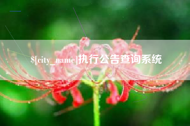 宜阳执行公告查询系统