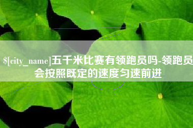 宜阳五千米比赛有领跑员吗-领跑员会按照既定的速度匀速前进