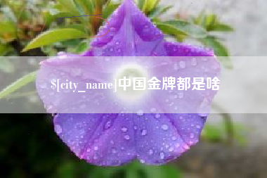 宜阳中国金牌都是啥