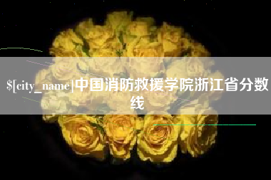 宜阳中国消防救援学院浙江省分数线