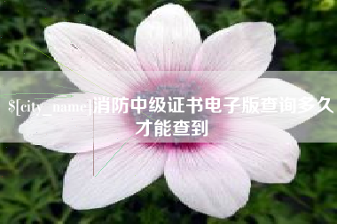 宜阳消防中级证书电子版查询多久才能查到
