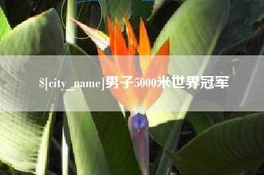 宜阳男子5000米世界冠军