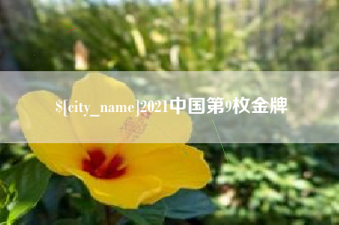 宜阳2021中国第9枚金牌