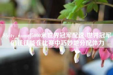 宜阳5000米世界冠军配速-世界冠军们往往能在比赛中巧妙地分配体力