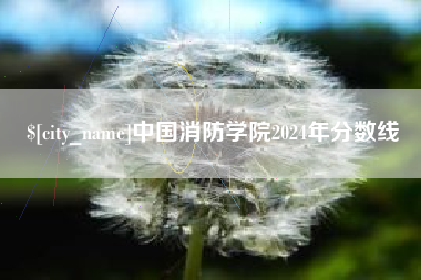 宜阳中国消防学院2024年分数线