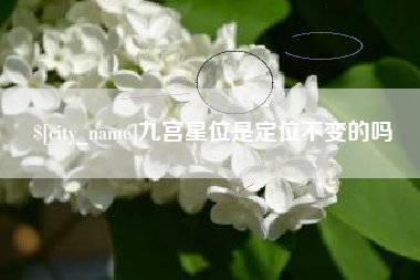宜阳九宫星位是定位不变的吗