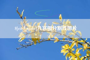 宜阳九宫图分割线图片