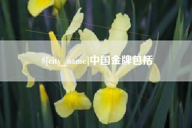 宜阳中国金牌包括