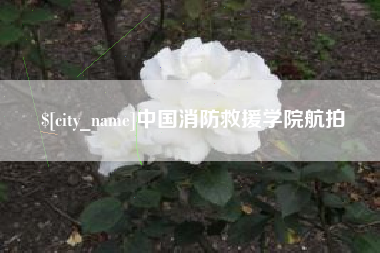 宜阳中国消防救援学院航拍