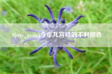 宜阳今年九宫格的不利颜色