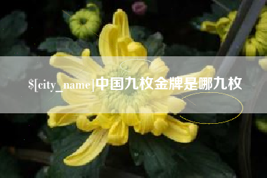 宜阳中国九枚金牌是哪九枚