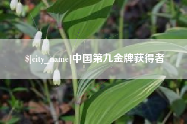 宜阳中国第九金牌获得者