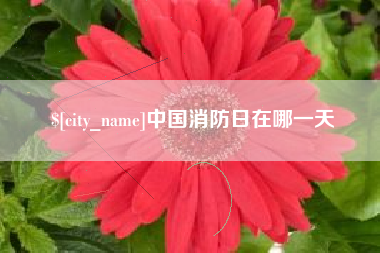 宜阳中国消防日在哪一天