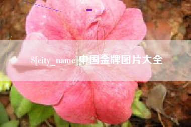 宜阳中国金牌图片大全