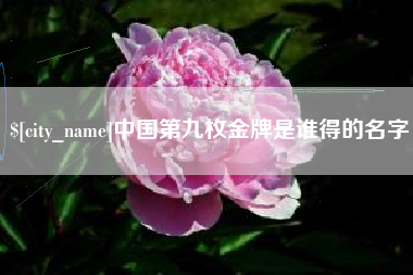 宜阳中国第九枚金牌是谁得的名字