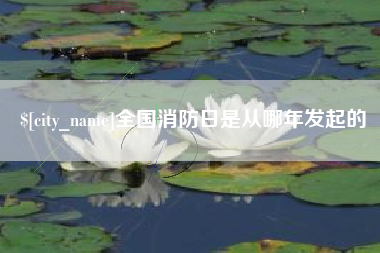 宜阳全国消防日是从哪年发起的