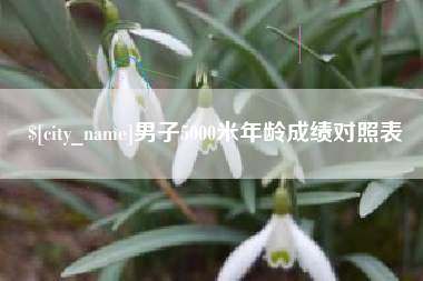 宜阳男子5000米年龄成绩对照表
