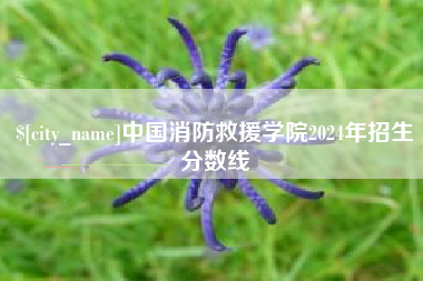 宜阳中国消防救援学院2024年招生分数线