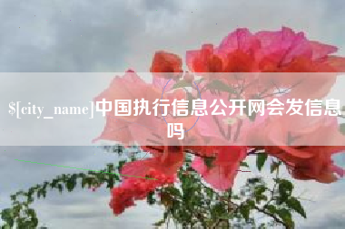 宜阳中国执行信息公开网会发信息吗