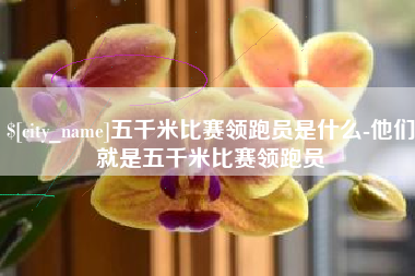 宜阳五千米比赛领跑员是什么-他们就是五千米比赛领跑员