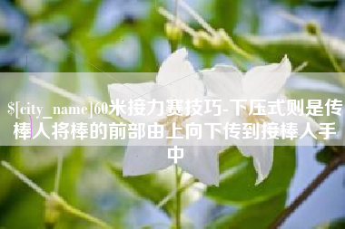 宜阳60米接力赛技巧-下压式则是传棒人将棒的前部由上向下传到接棒人手中