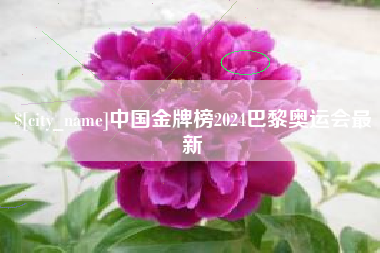宜阳中国金牌榜2024巴黎奥运会最新