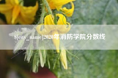 宜阳2020年消防学院分数线
