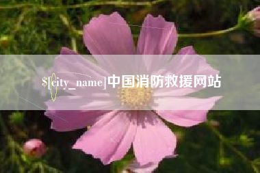 宜阳中国消防救援网站