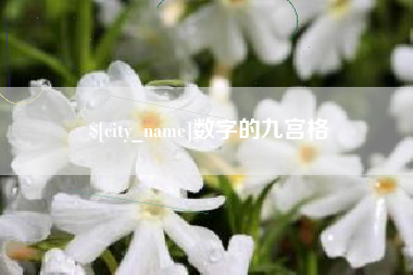 宜阳数字的九宫格