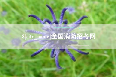 宜阳全国消防招考网