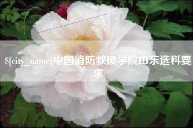 宜阳中国消防救援学院山东选科要求