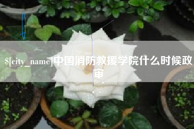 宜阳中国消防救援学院什么时候政审