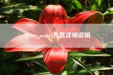 宜阳九宫详细说明