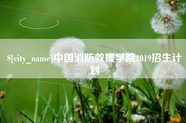 宜阳中国消防救援学院2019招生计划