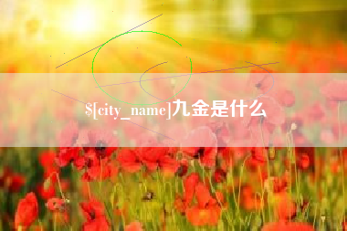 宜阳九金是什么