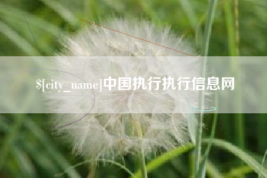 宜阳中国执行执行信息网