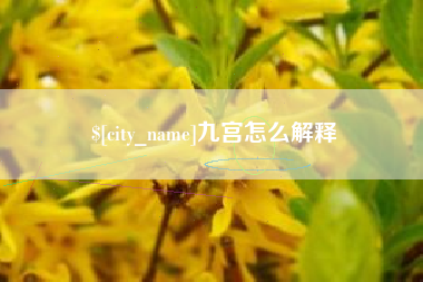 宜阳九宫怎么解释