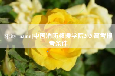 宜阳中国消防救援学院2020高考报考条件