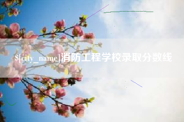 宜阳消防工程学校录取分数线