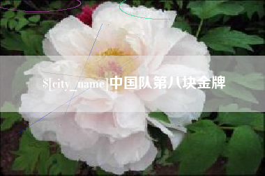 宜阳中国队第八块金牌