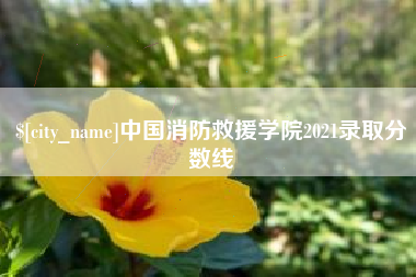 宜阳中国消防救援学院2021录取分数线