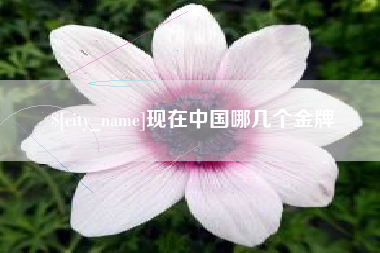 宜阳现在中国哪几个金牌